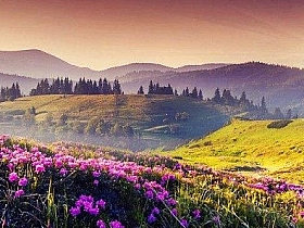 Linux中使用rz、sz命令来完成上传下载文件