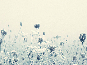 harbor私有仓库建立,超实用的docker仓库